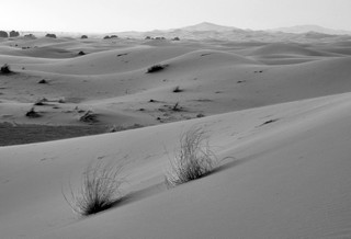 IMAGES du Sud-MAROC